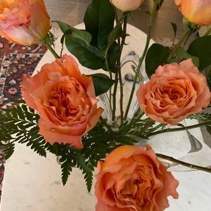 Meet your Posher, Jim